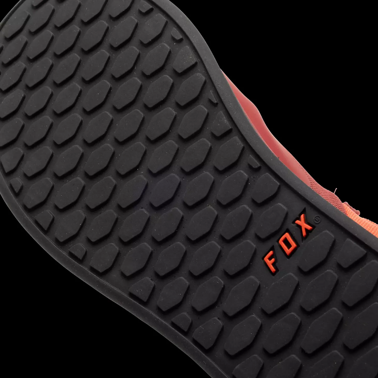 fox_union_canvas_shoes_6.webp Fox Union Canvas Shoes
