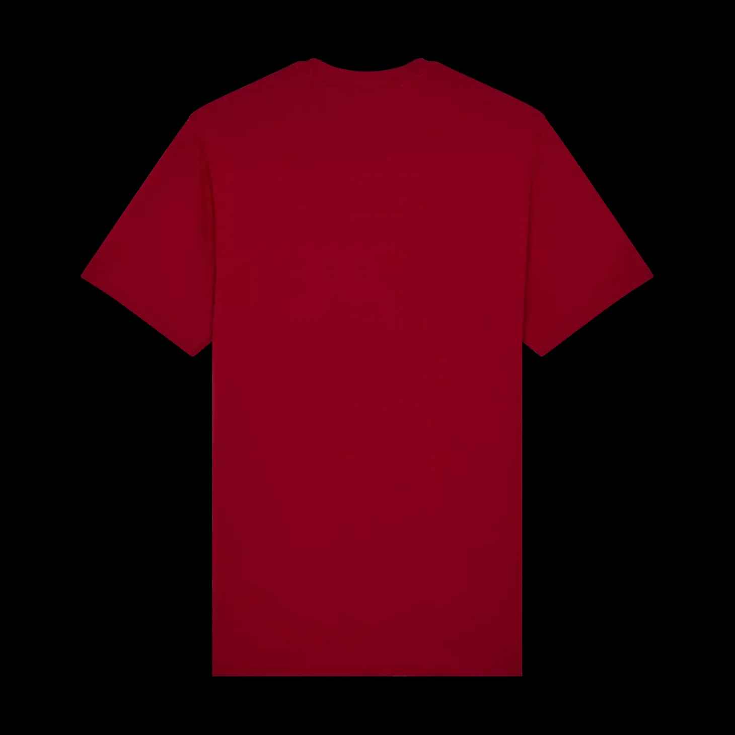 Image Skull Premium Tee